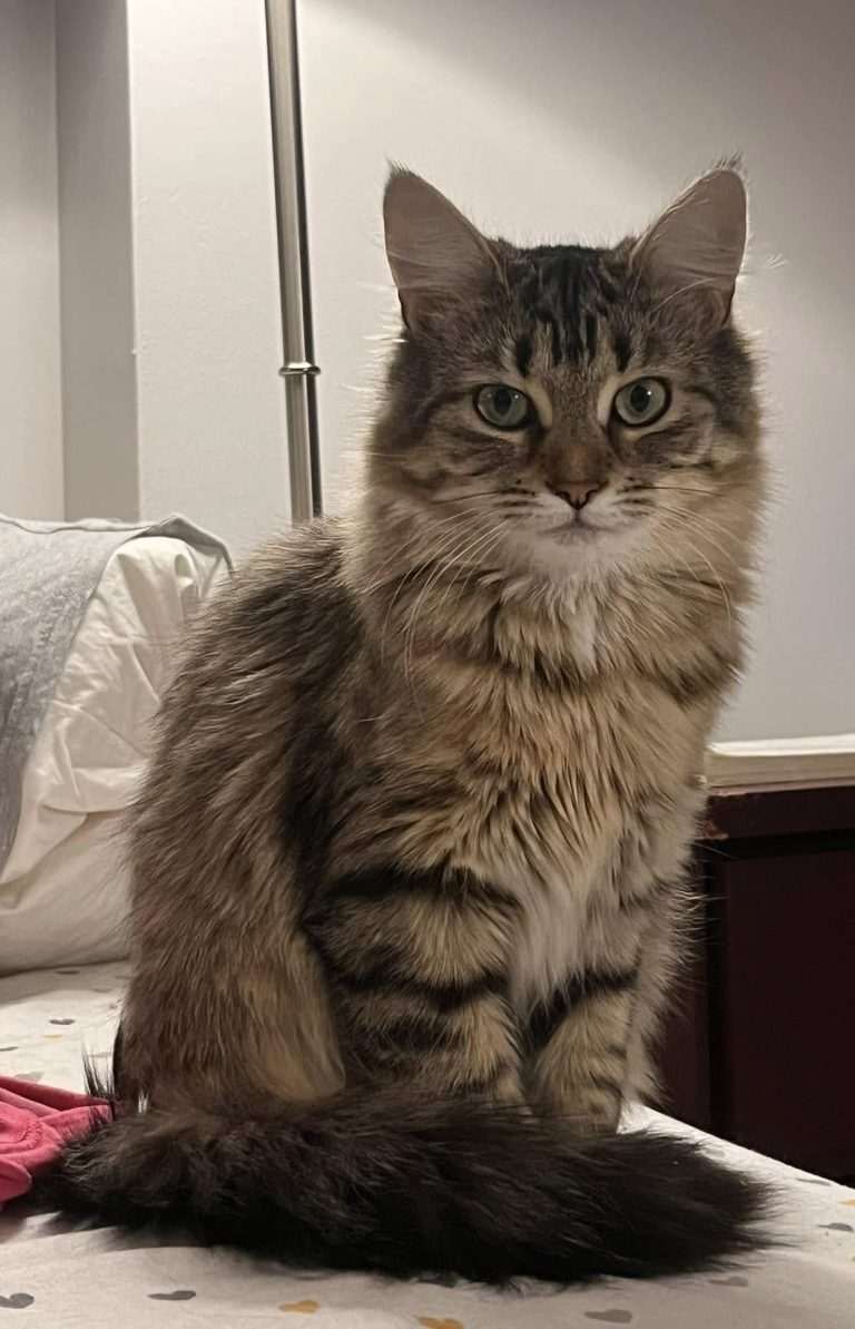 Tina