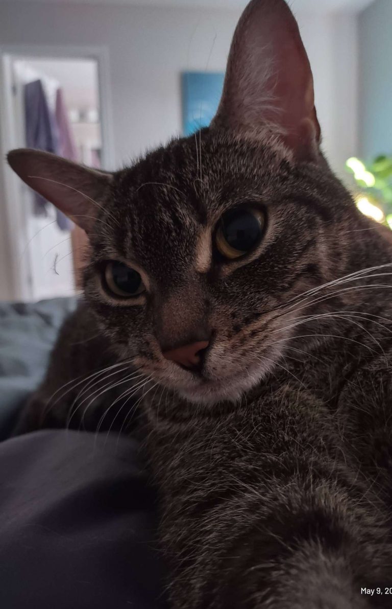 Luna (Chickie)
