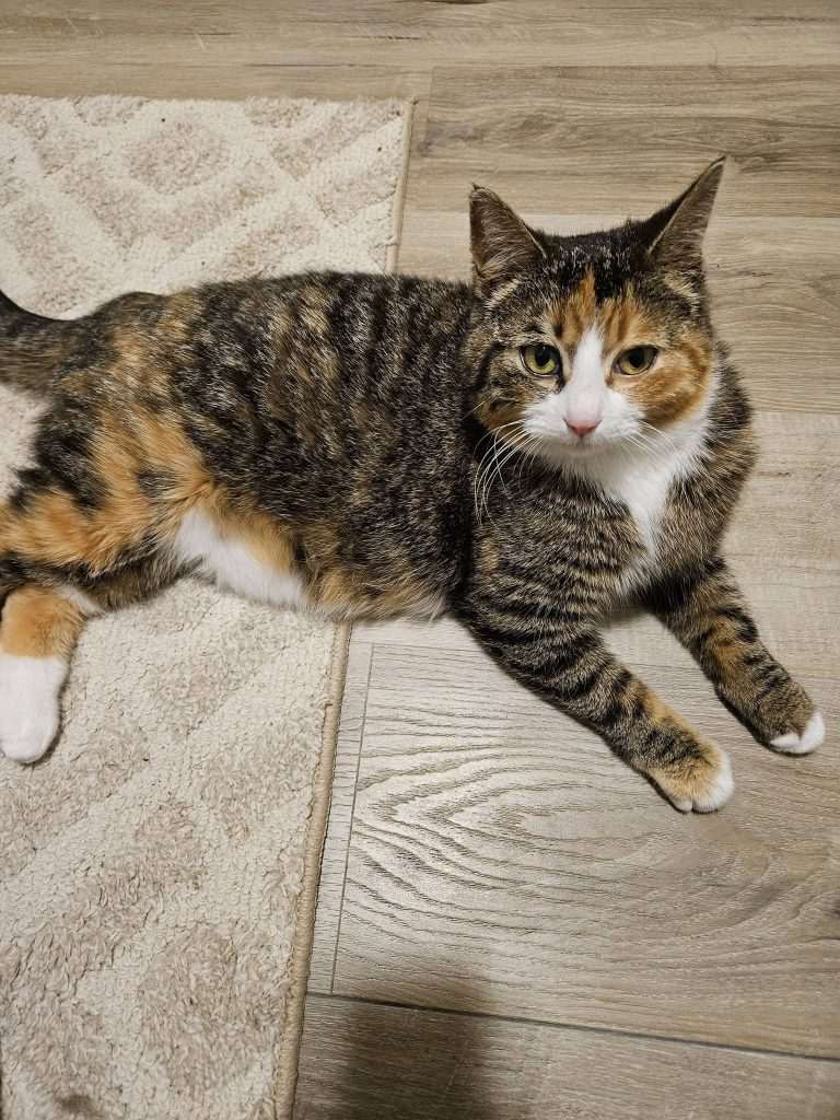 Louise