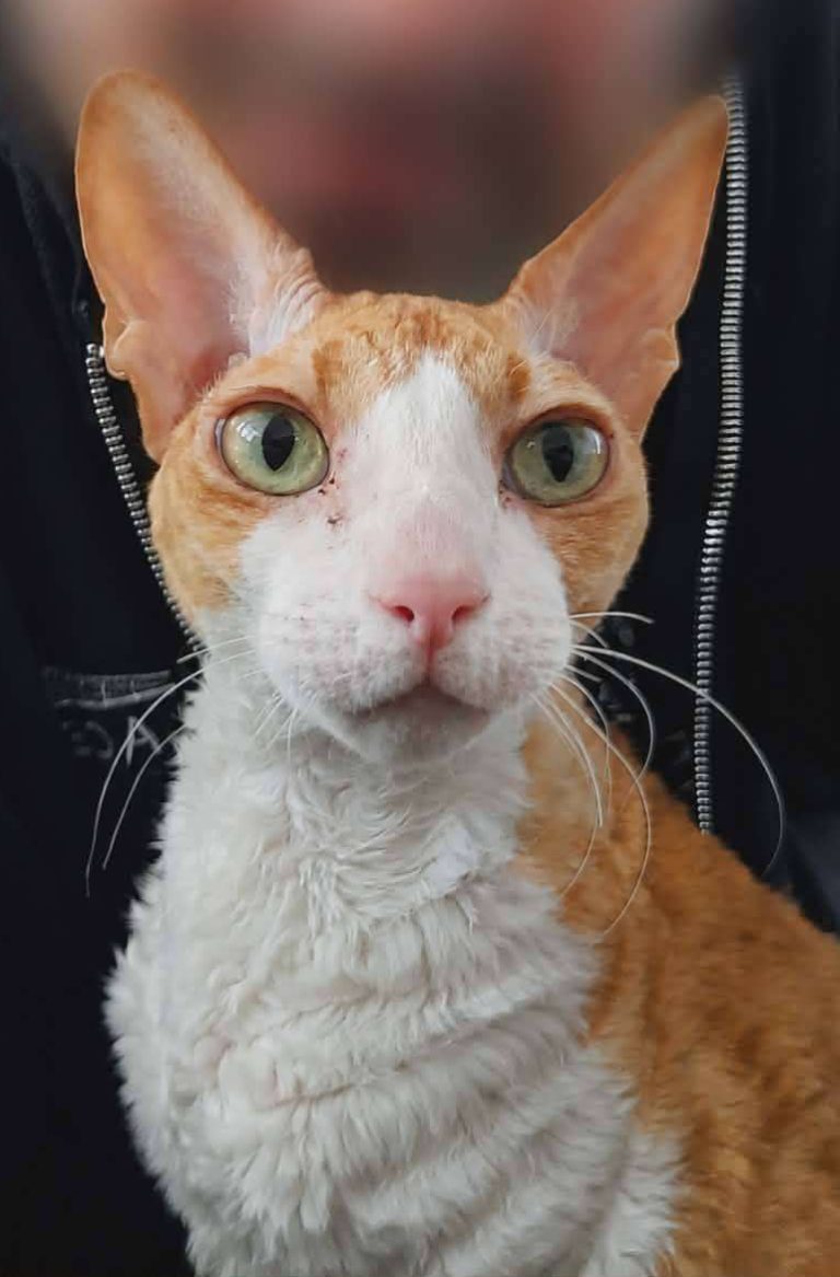 Max