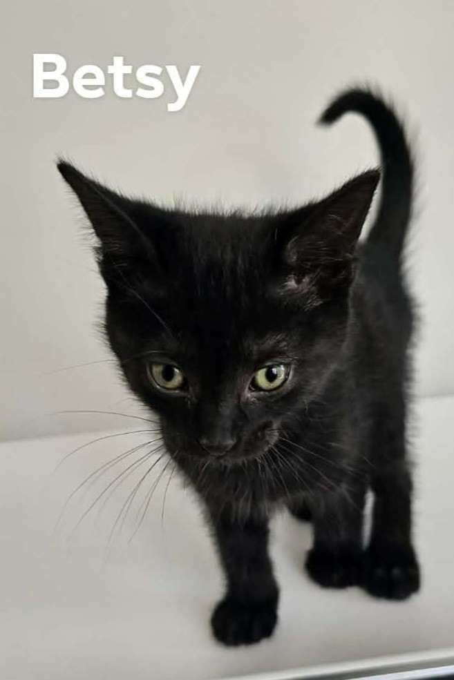 Betsy