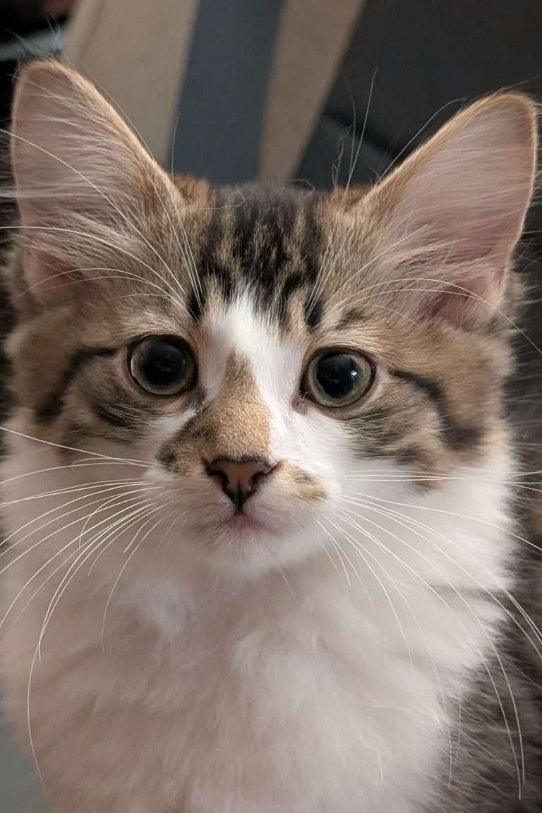 Aidan