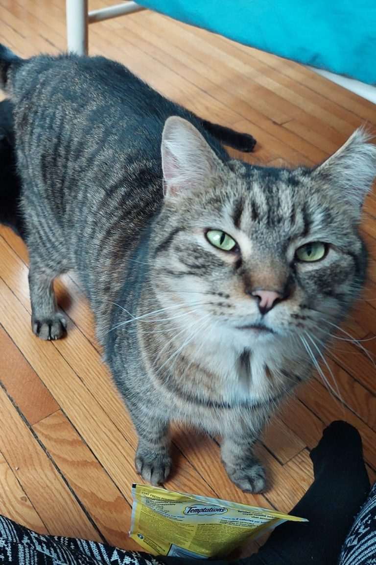 Seamus