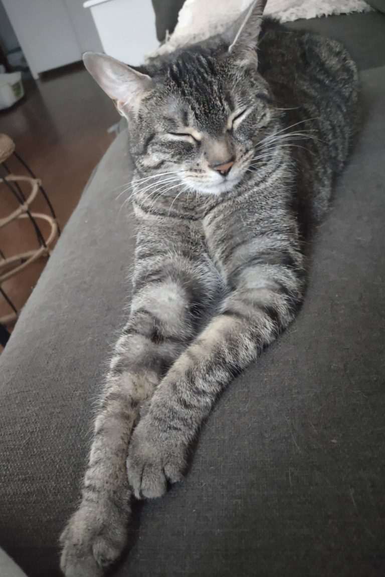 Luna (Chickie)