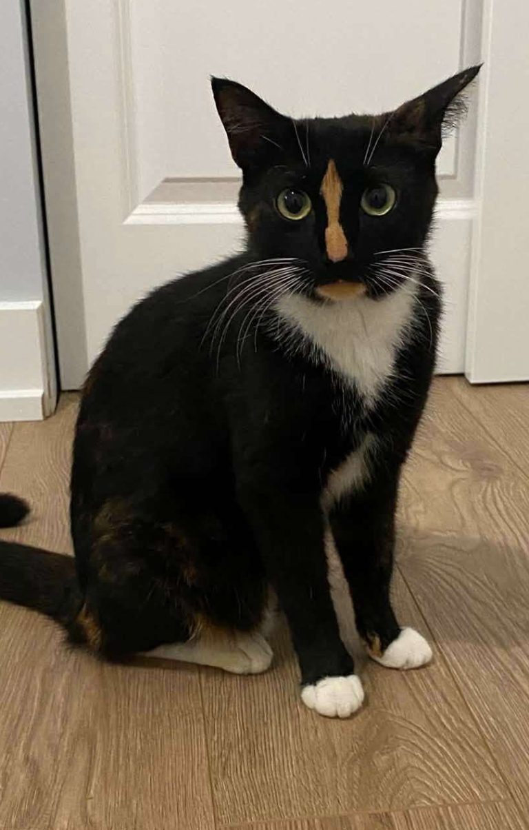 Sally