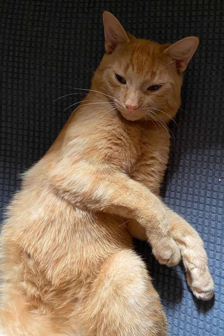 Henry