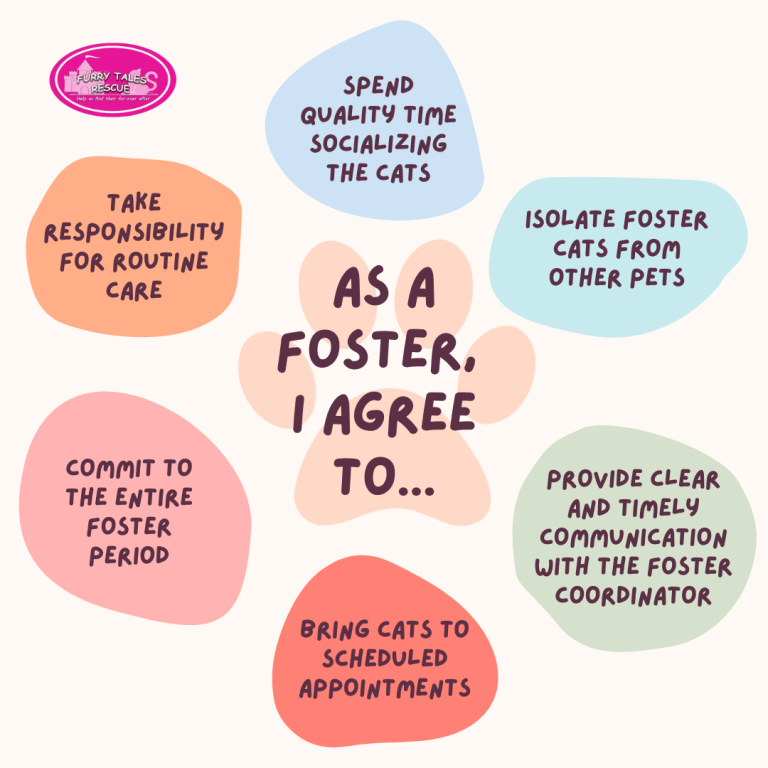A stylized image about fostering. Text reads: "As a foster, I agree to... spend quality time socializing with the cats/isolate foster cats from other pets/provide clearly and timely communication with the foster coordinator/bring cats to scheduled appointments/commit to the entire foster period/take responsibility for routine care."